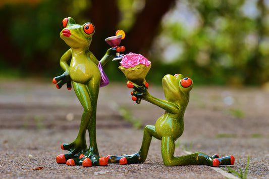 Cultivating Forgiveness Letting Go of Grudges for a Happier Life