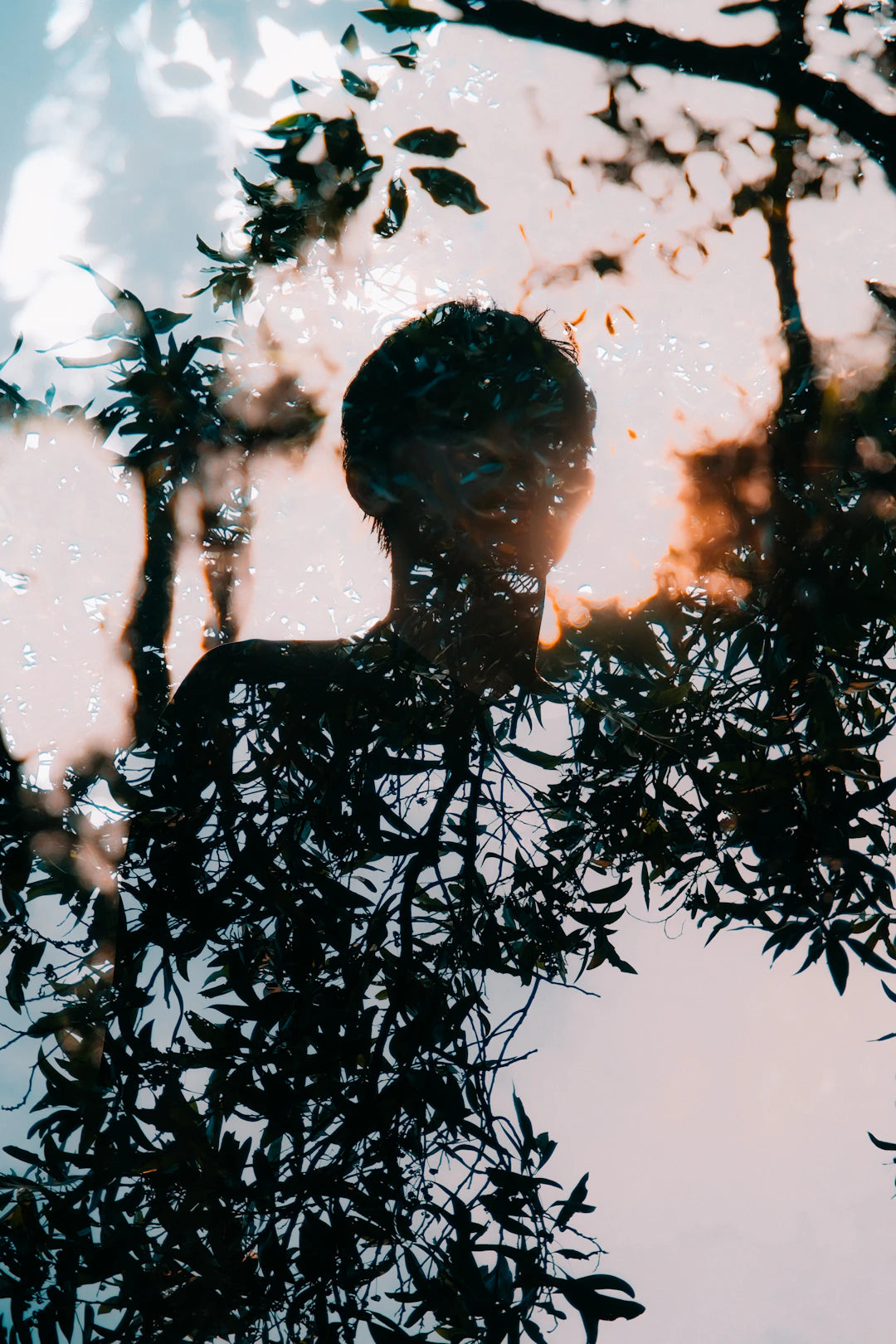The Heart of Connection Embracing Vulnerability