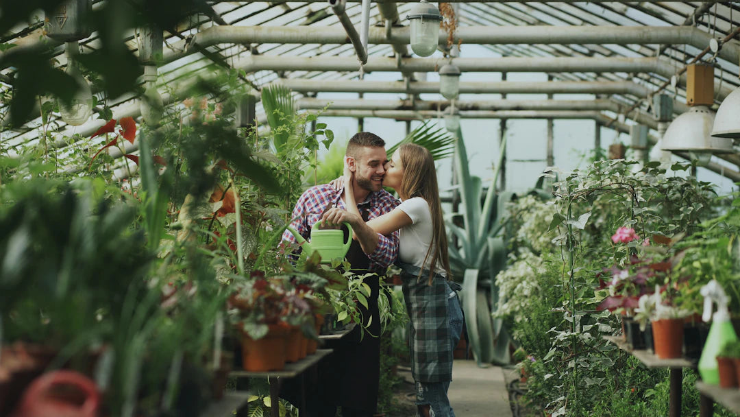 Understanding Relationship Cycles and Growth